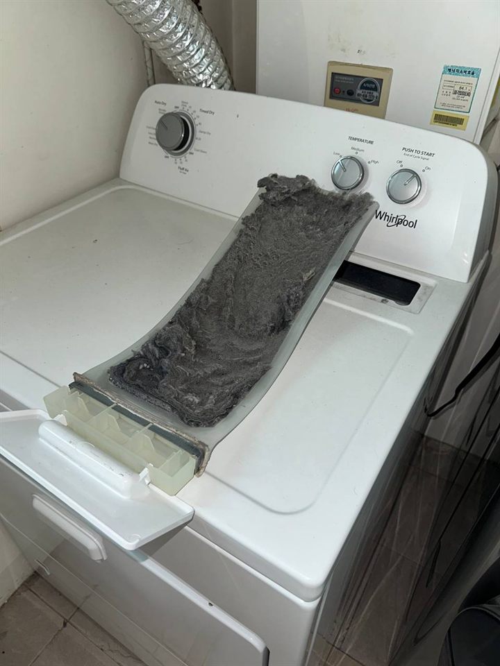 Dryer lint filter before CLEANX cleaning