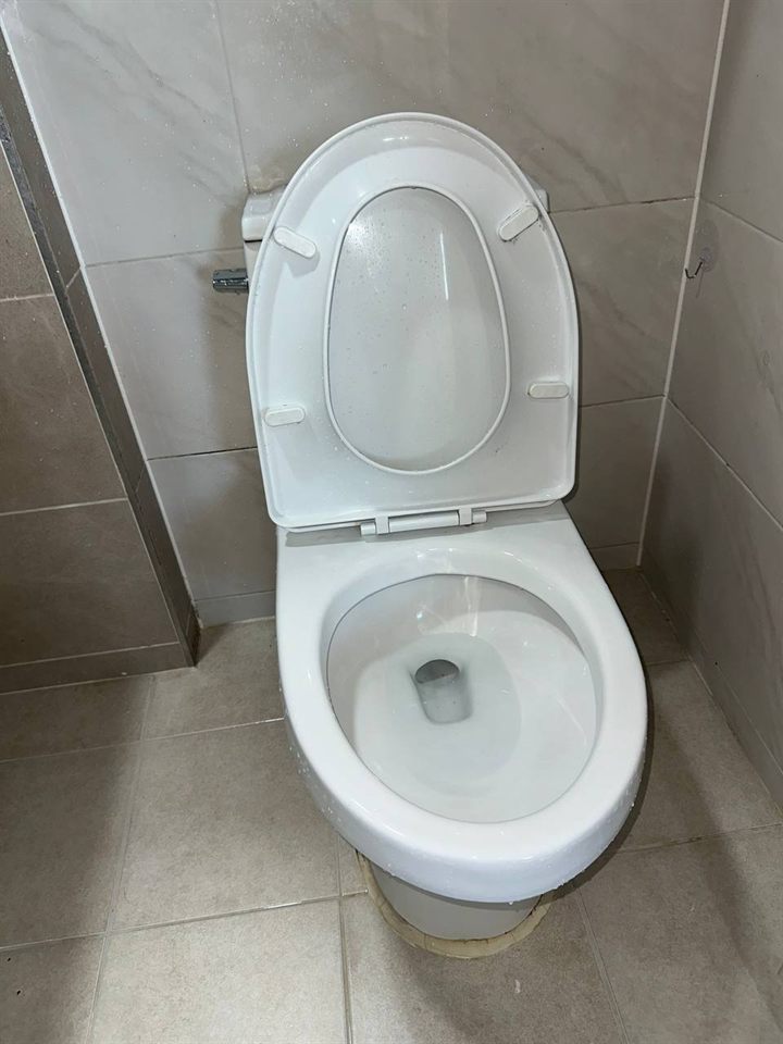 Toilet after CLEANX cleaning
