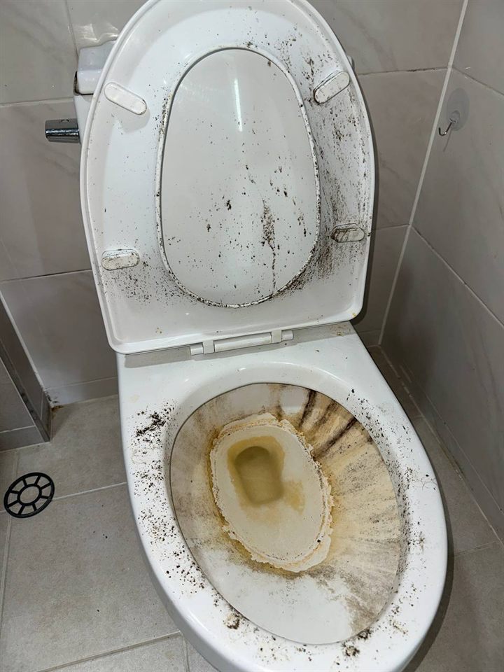 Toilet before CLEANX cleaning